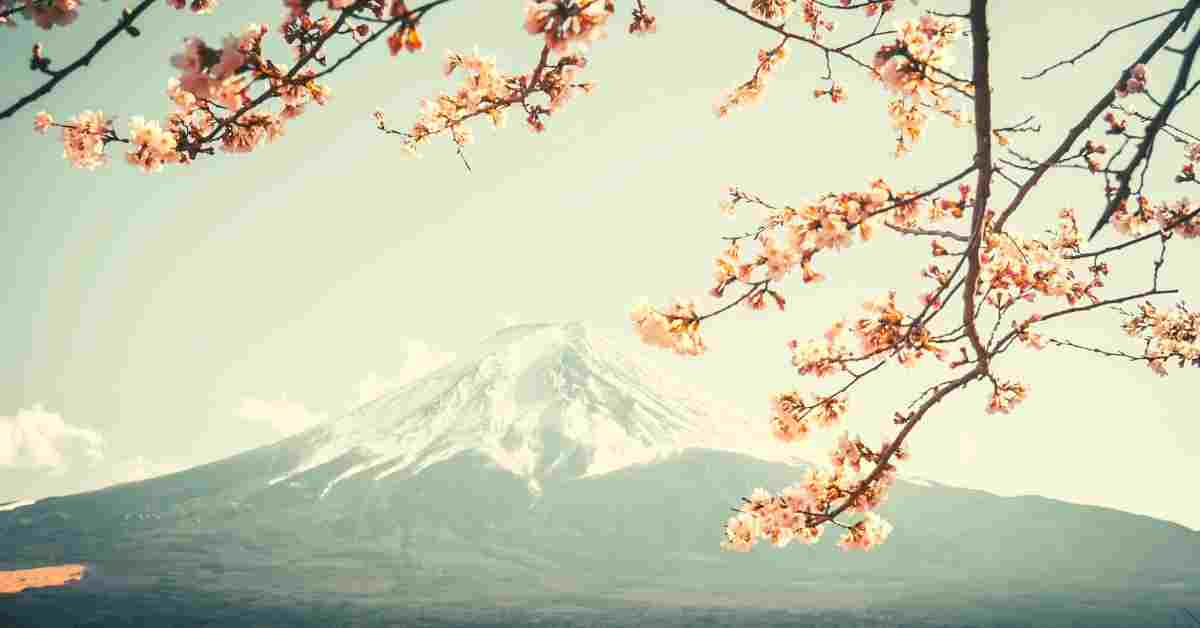 The 12 Safest Countries In The World In 2024 (And What Makes Them So